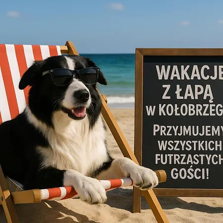 Lägenhet 119 W Pieciogwiazdkowym Royal Tulip Plaza Tuz Tuz Dobruk Kołobrzeg